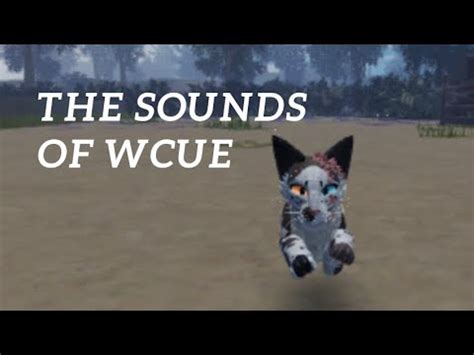 wcue|wcue pictures.